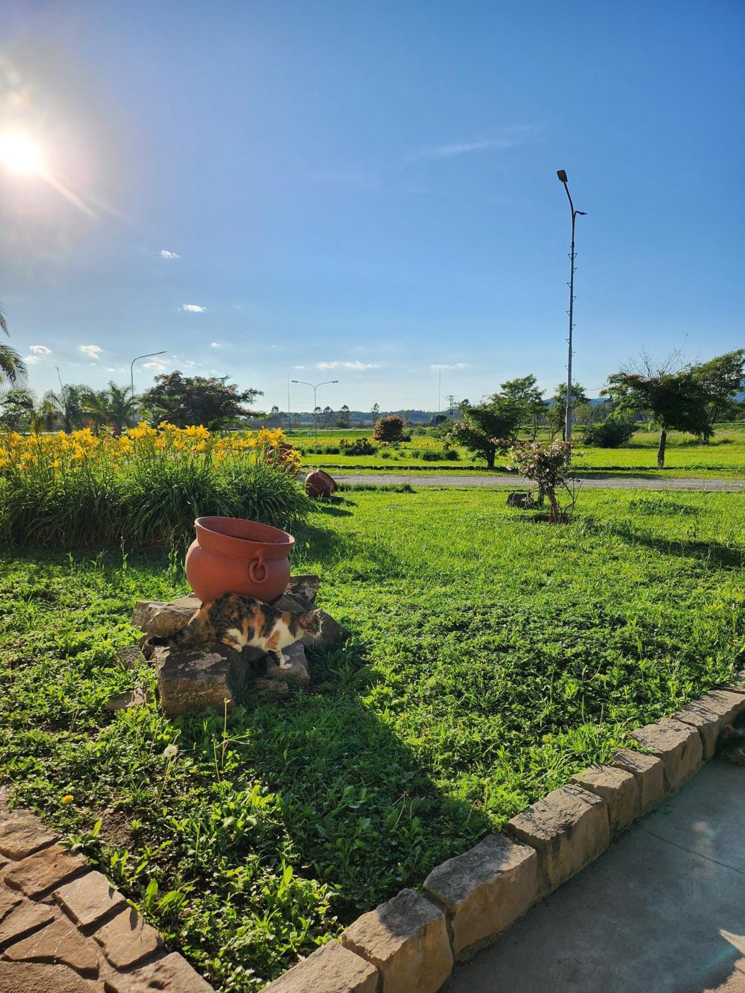 ฮาวเวิร์ด จอห์นสัน อินน์ โรซาริโอ เด ลา ฟรอนเตรา ภายนอก รูปภาพ